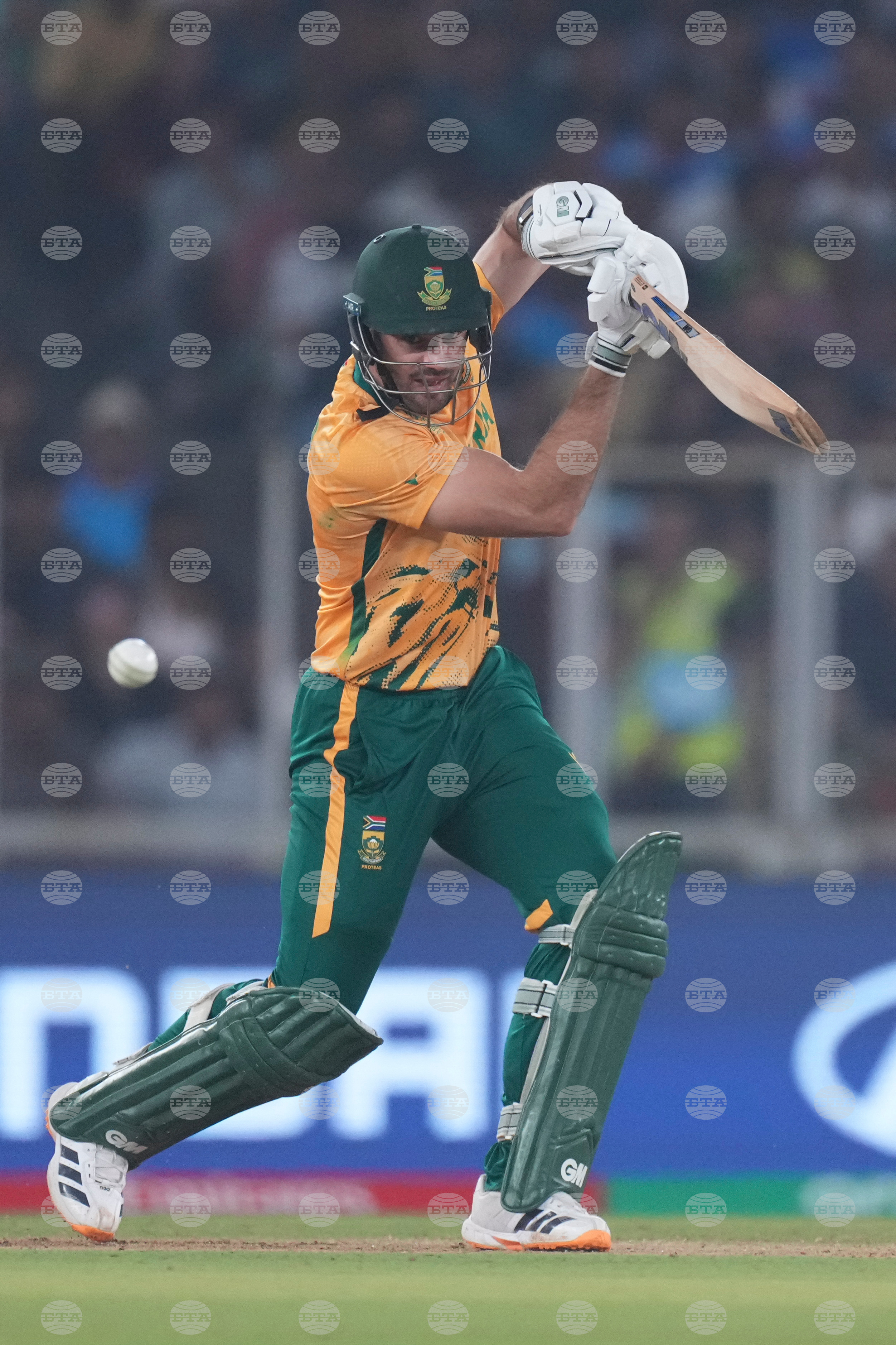 South Africa New Zealand T20 WCup Cricket