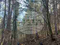 Снимка: Регионалнен исторически музей – Разград