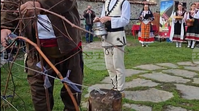 Бутикови изби и домашни винопроизводители представиха реколтата си на традиционния празник „Трифониада“ в Златоград