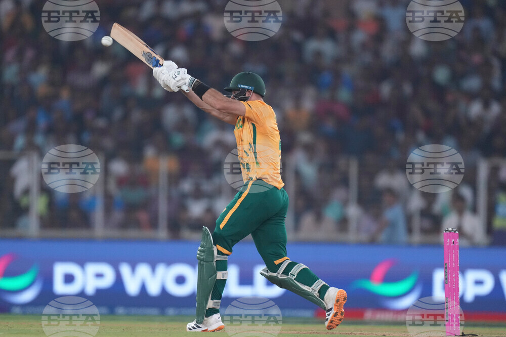 South Africa New Zealand T20 WCup Cricket