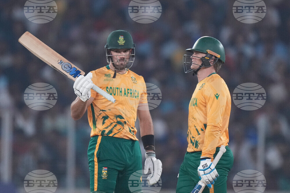 South Africa New Zealand T20 WCup Cricket
