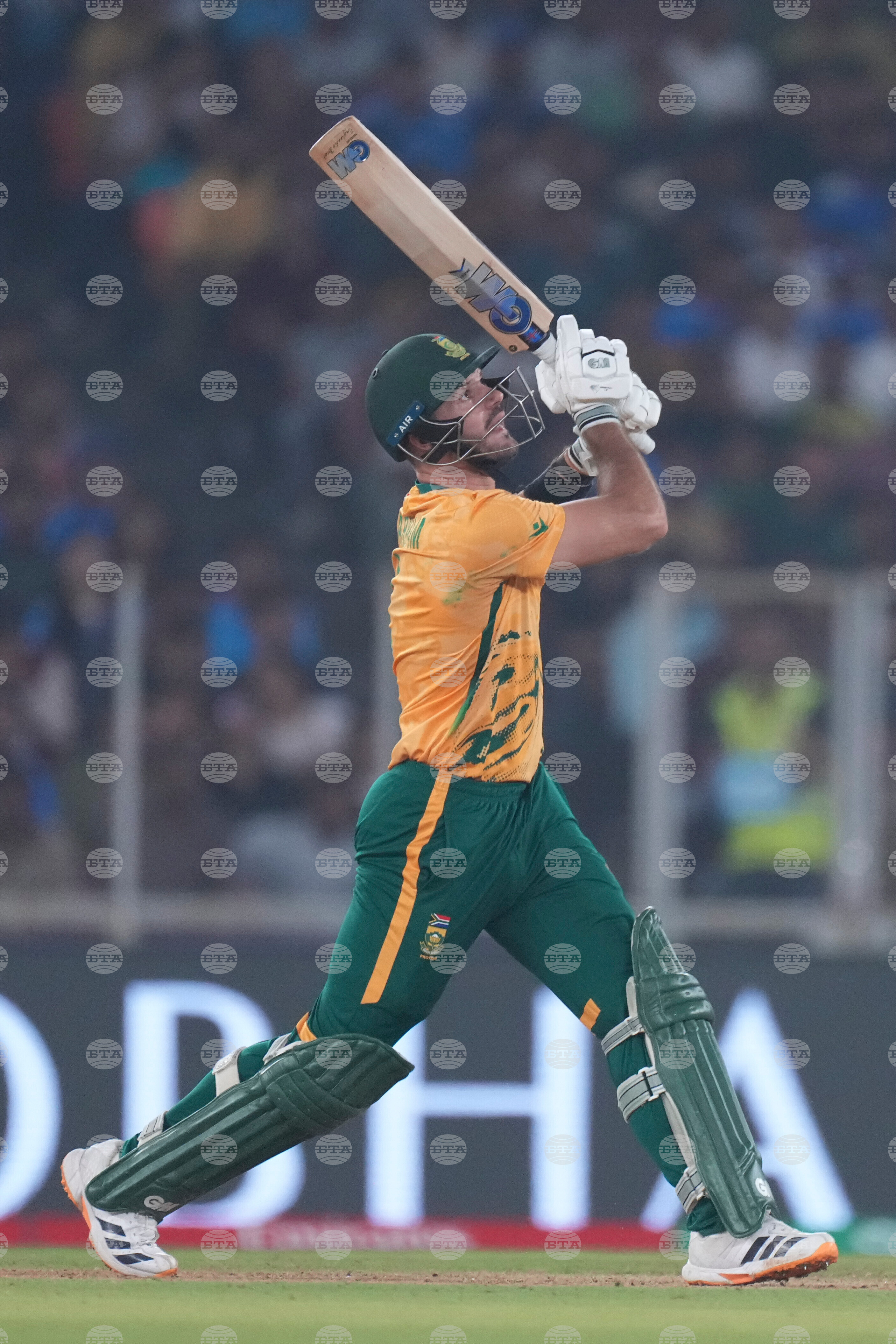 South Africa New Zealand T20 WCup Cricket