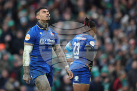 Ireland Italy Six Nations Rugby