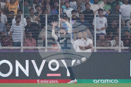 South Africa New Zealand T20 WCup Cricket