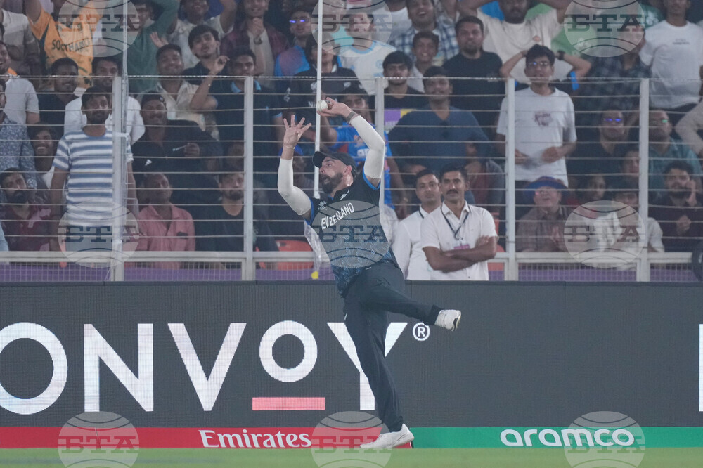 South Africa New Zealand T20 WCup Cricket