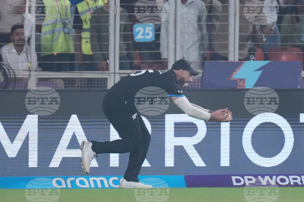 South Africa New Zealand T20 WCup Cricket