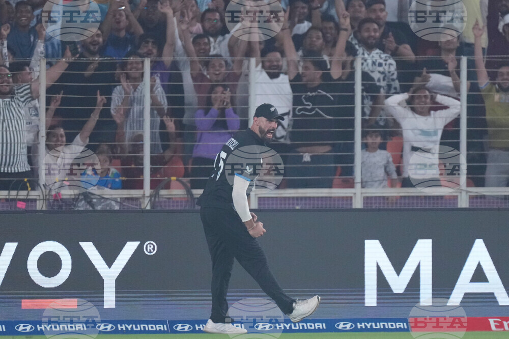 South Africa New Zealand T20 WCup Cricket