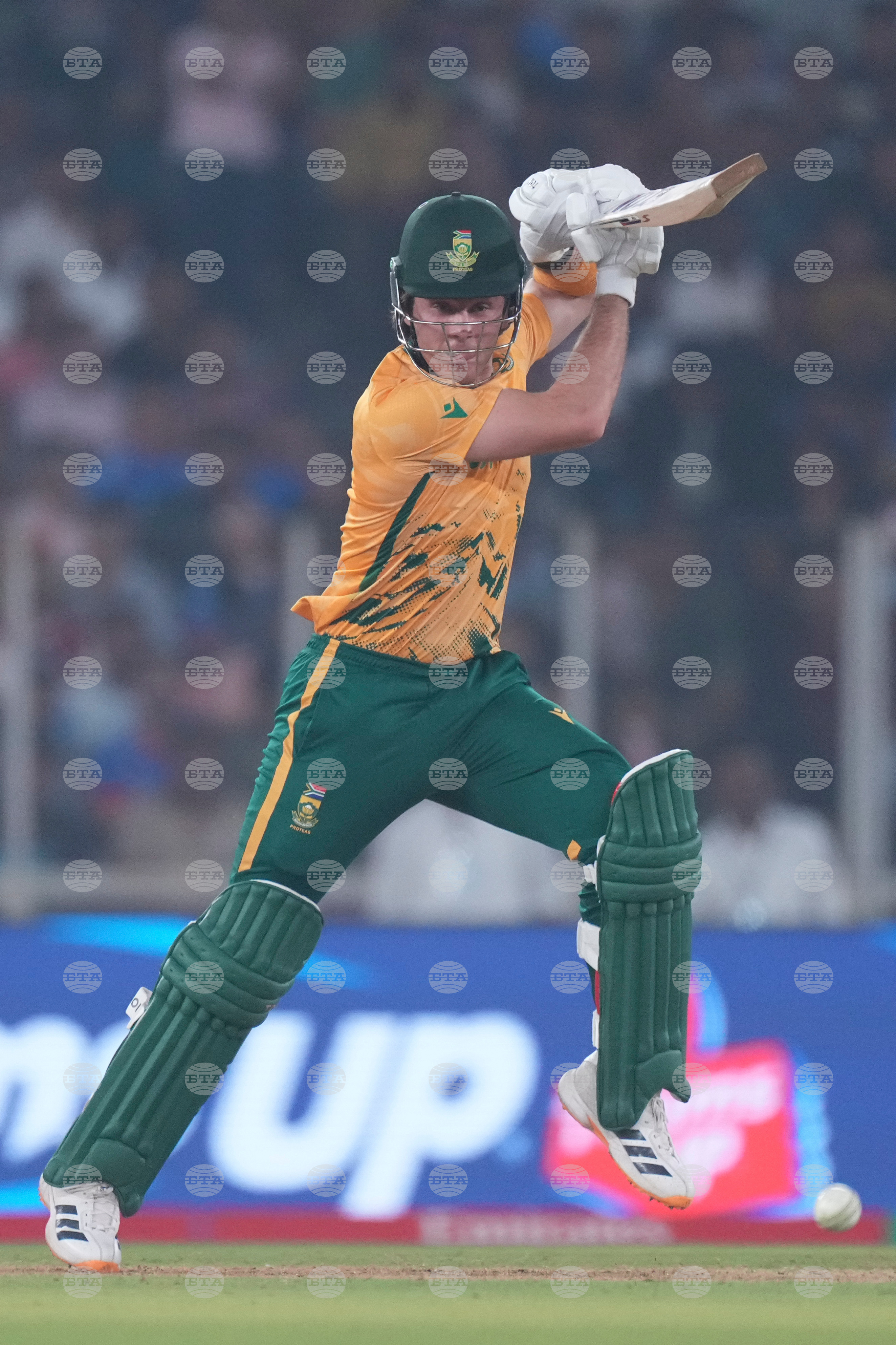 South Africa New Zealand T20 WCup Cricket