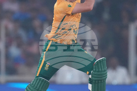 South Africa New Zealand T20 WCup Cricket
