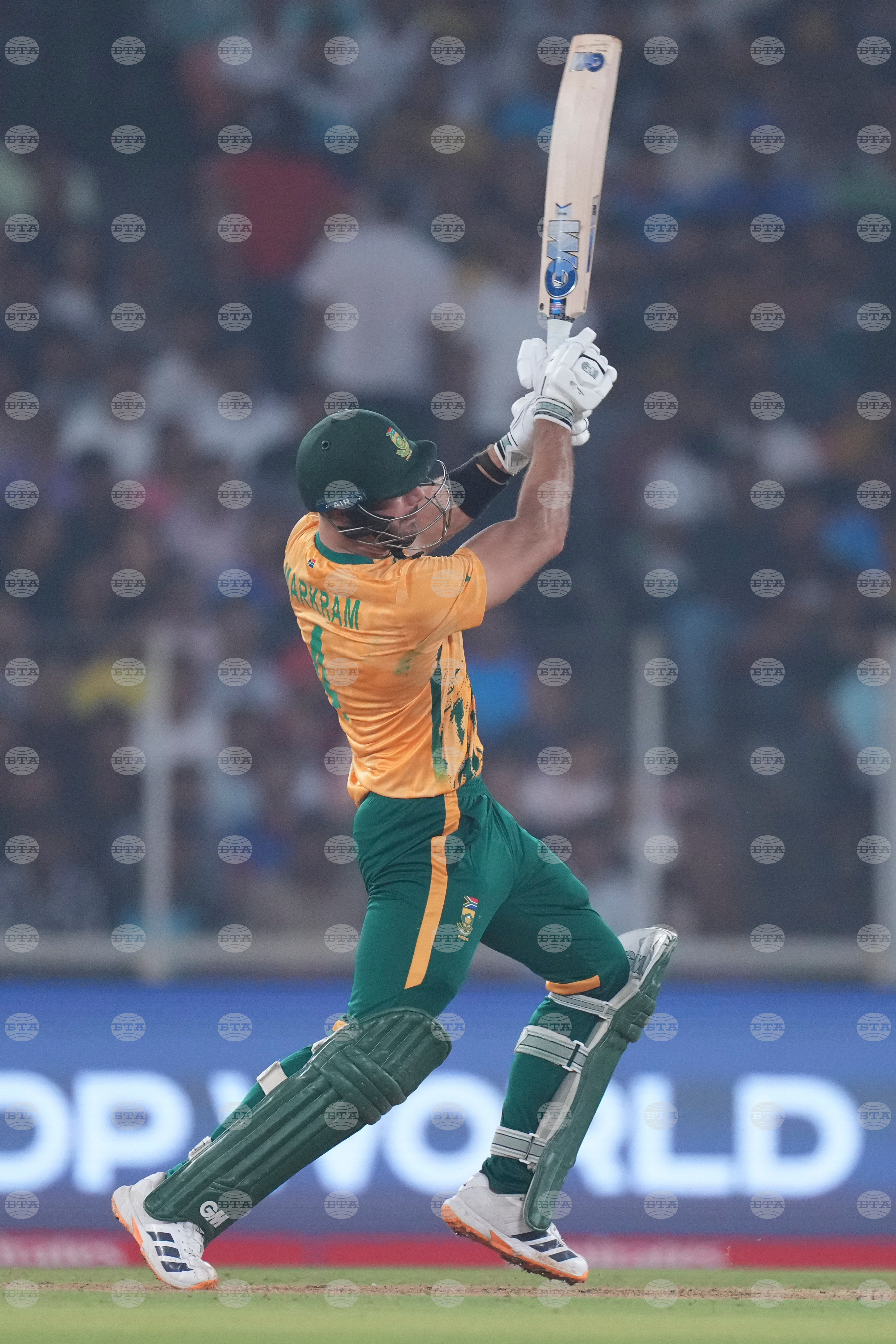 South Africa New Zealand T20 WCup Cricket