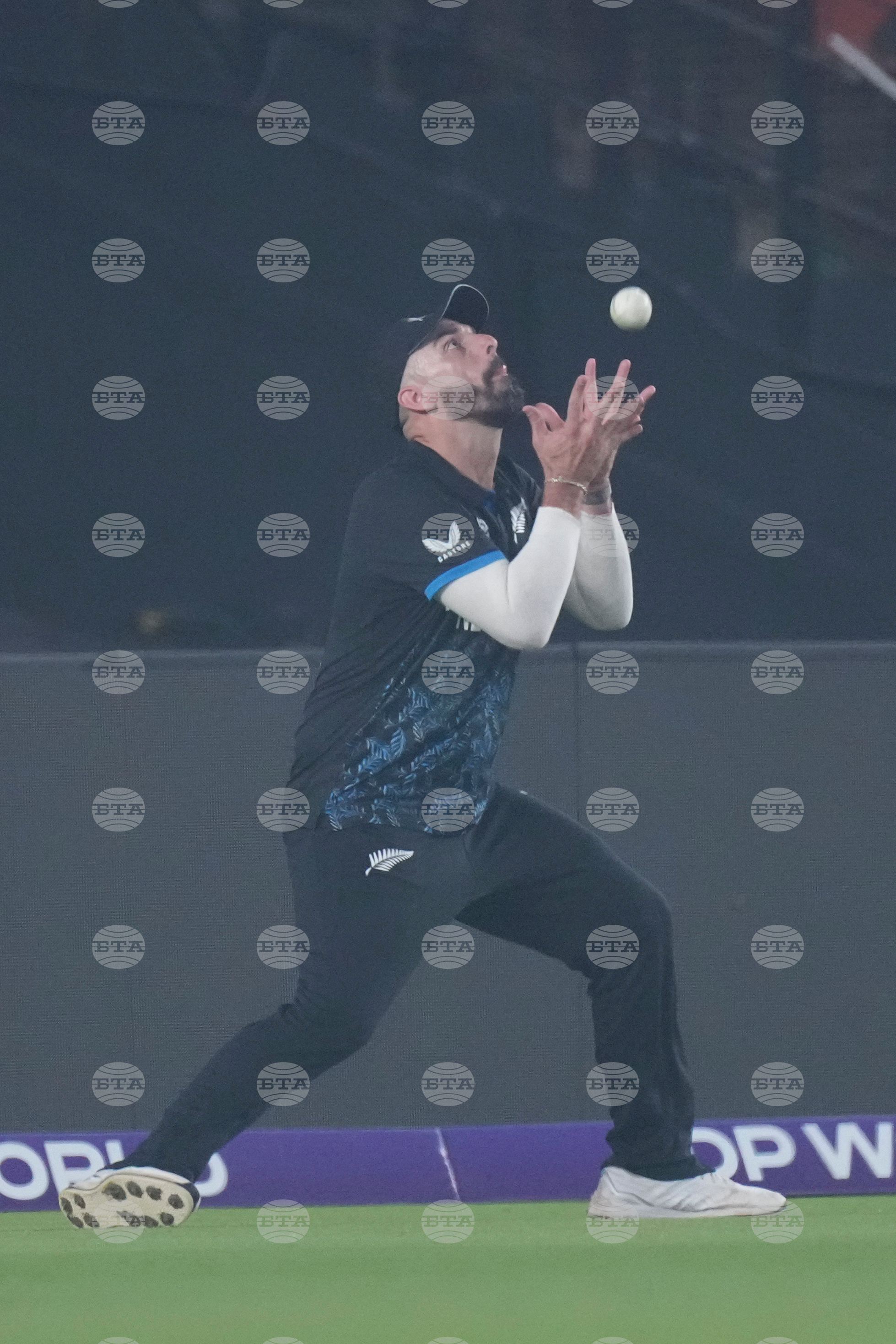 South Africa New Zealand T20 WCup Cricket