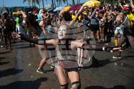 Brazil Carnival