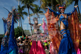 Brazil Carnival