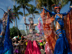 Brazil Carnival