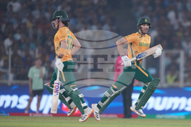 South Africa New Zealand T20 WCup Cricket