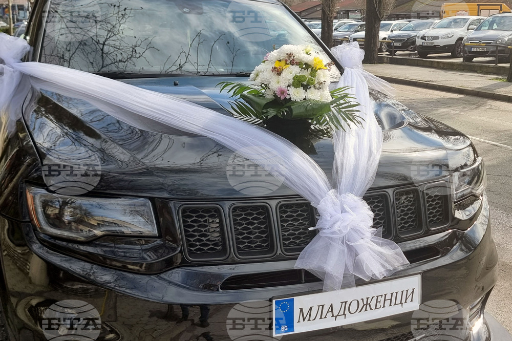 В област Плевен за една година се отчита намаляване на браковете и ръст при разводите