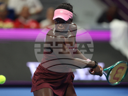 Qatar Open Tennis