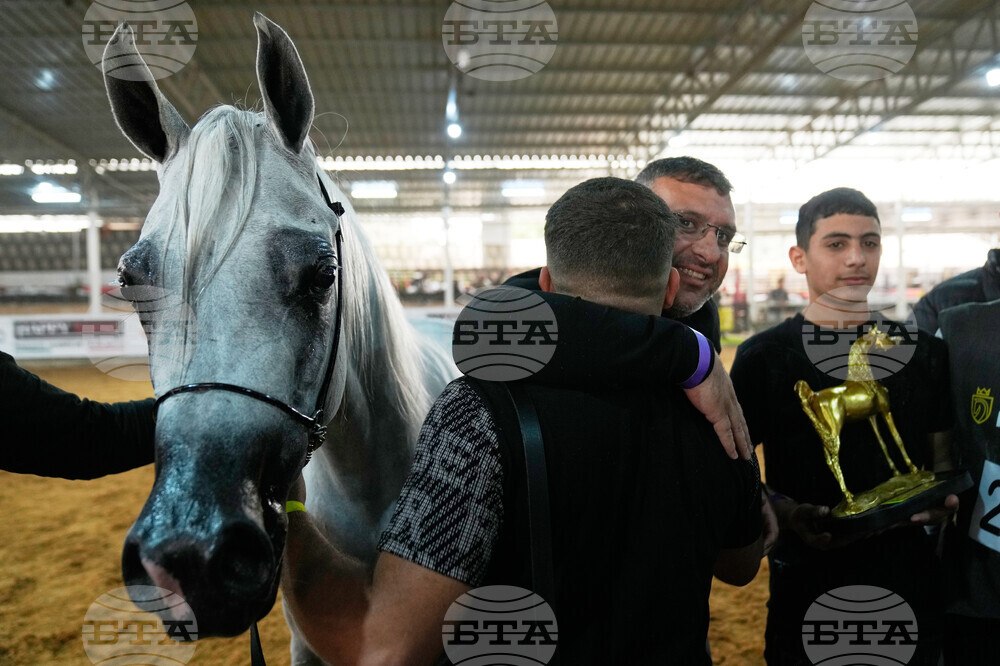 Israel Palestinians Arabian Horses