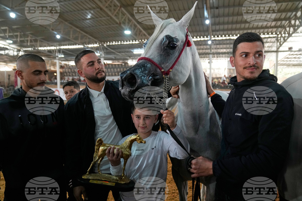 Israel Palestinians Arabian Horses