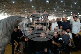 Israel Palestinians Arabian Horses