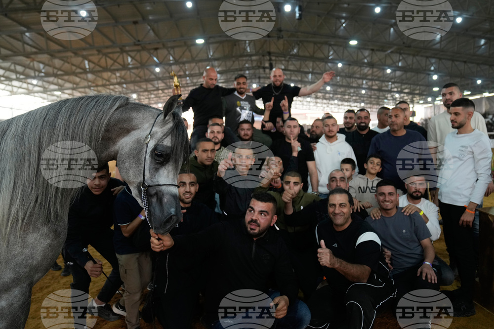 Israel Palestinians Arabian Horses