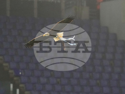 Italy Serie A Soccer