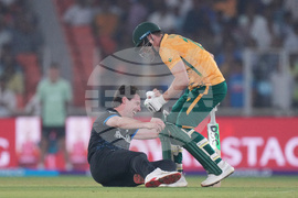 South Africa New Zealand T20 WCup Cricket