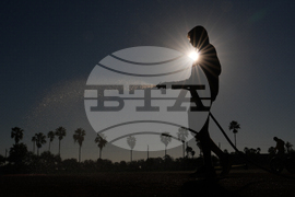 Pirates Spring Baseball