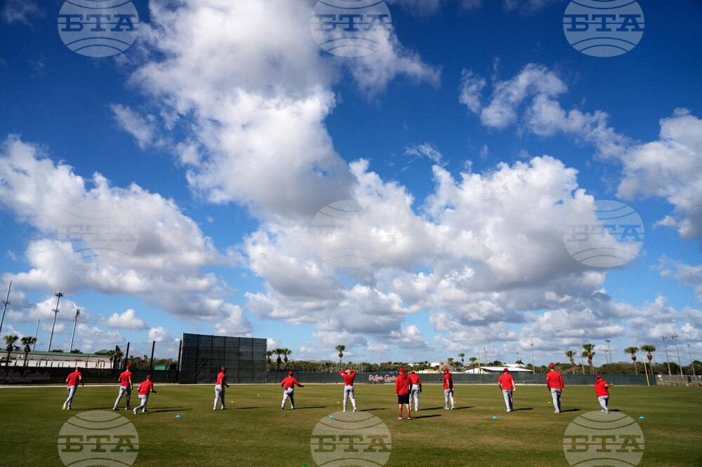 Cardinals Spring Baseball