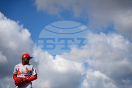 Cardinals Spring Baseball