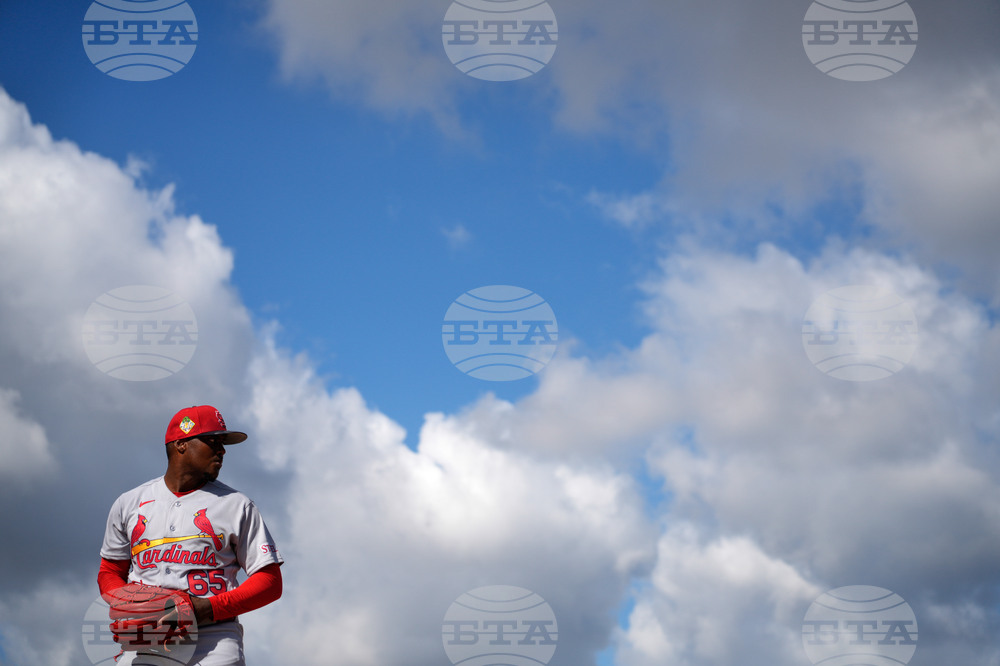 Cardinals Spring Baseball