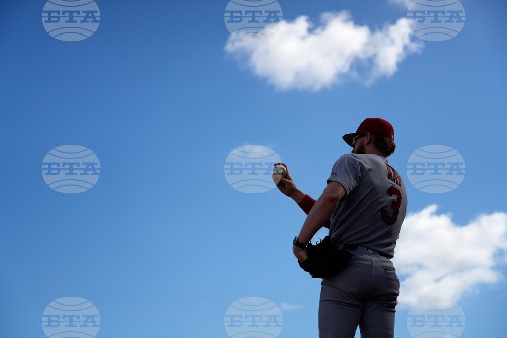 Cardinals Spring Baseball