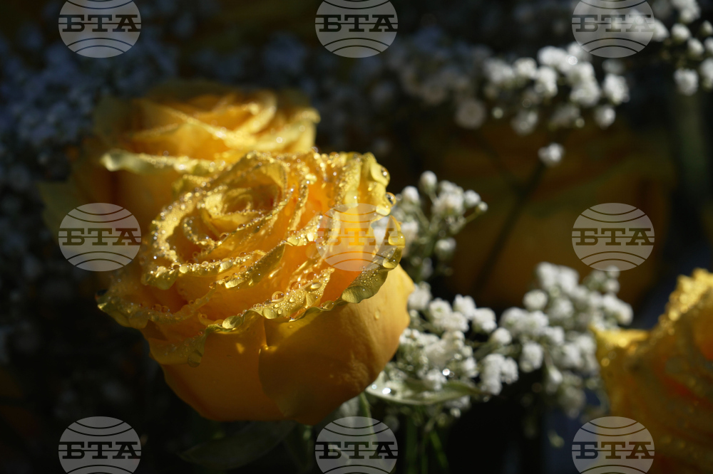 Savannah Guthrie Mom Missing