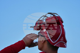 Cardinals Spring Baseball
