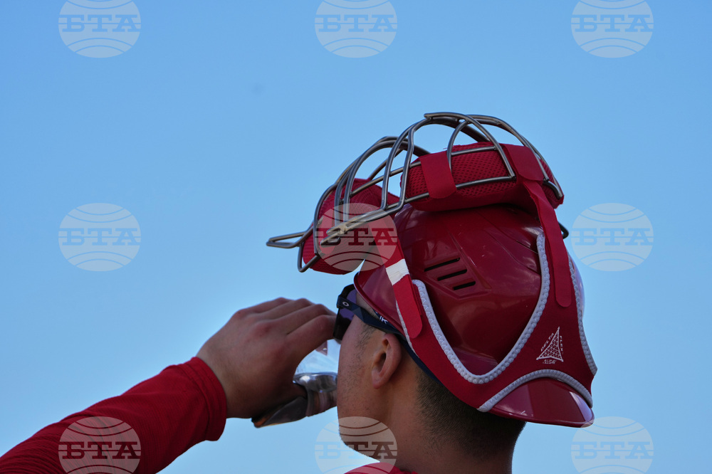 Cardinals Spring Baseball
