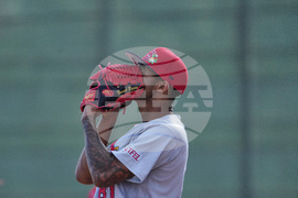 Cardinals Spring Baseball