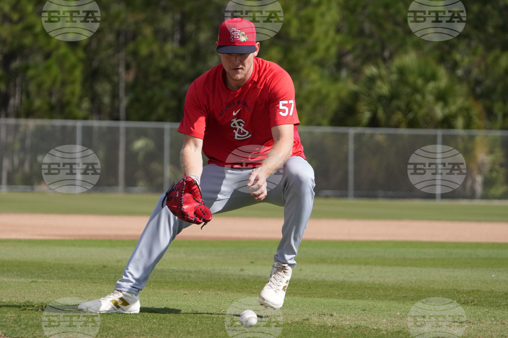 Cardinals Spring Baseball