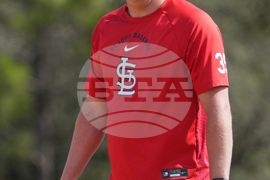 Cardinals Spring Baseball