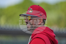 Cardinals Spring Baseball