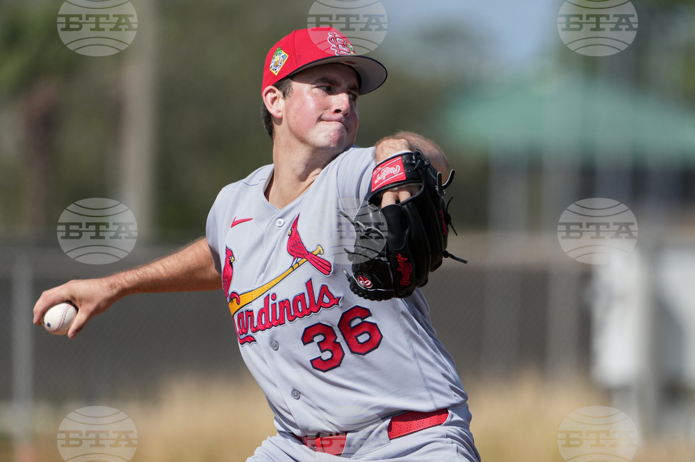 Cardinals Spring Baseball
