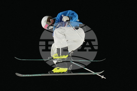 Milan Cortina Olympics Freestyle Skiing