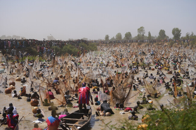 Nigeria Argungu Fishing Festival