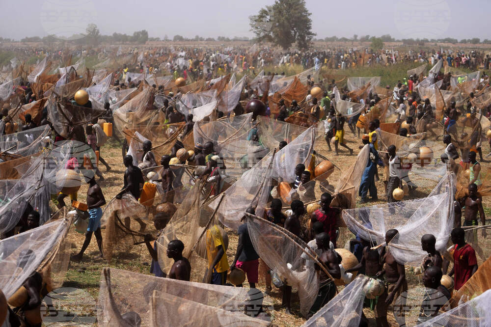 Nigeria Argungu Fishing Festival