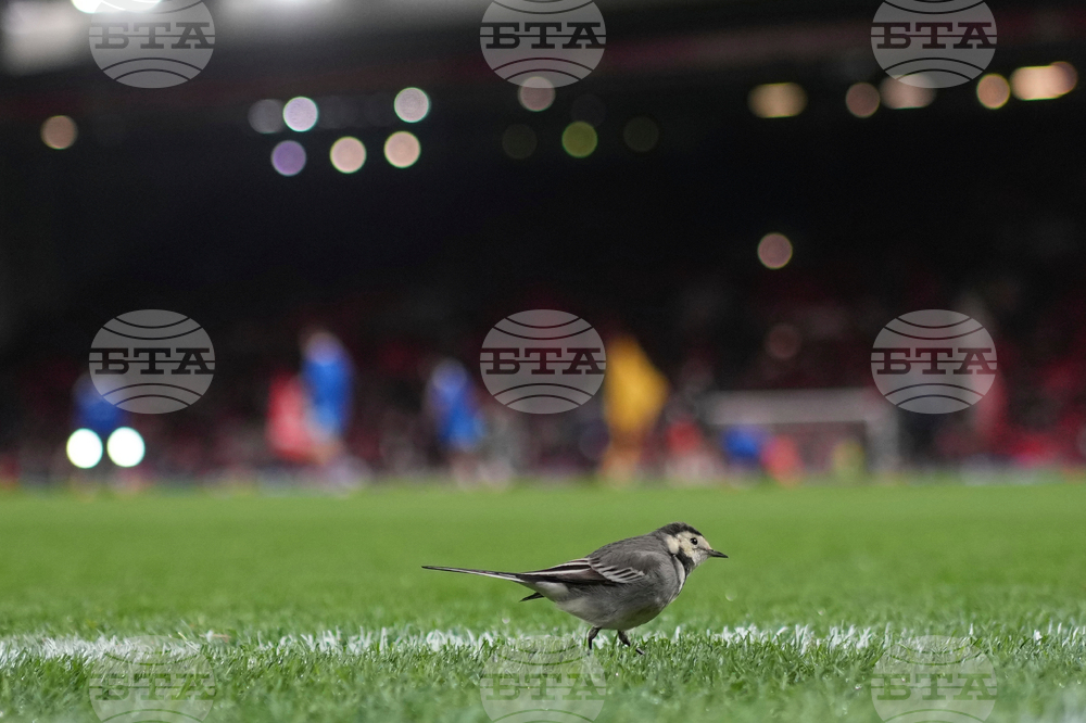 Britain FA CUP Soccer
