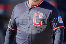 Guardians Spring Baseball