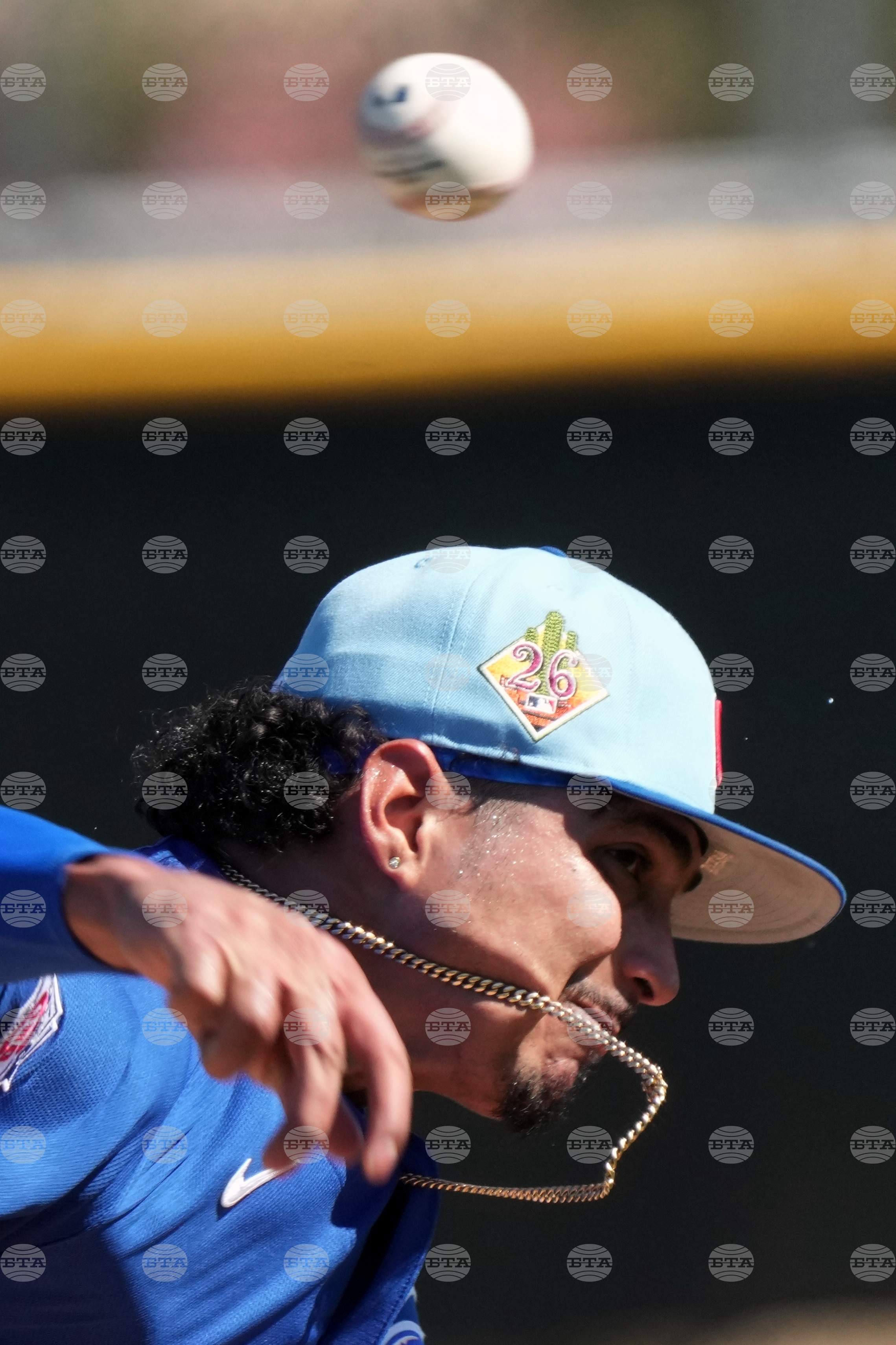 Cubs Spring Baseball