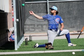 Cubs Spring Baseball