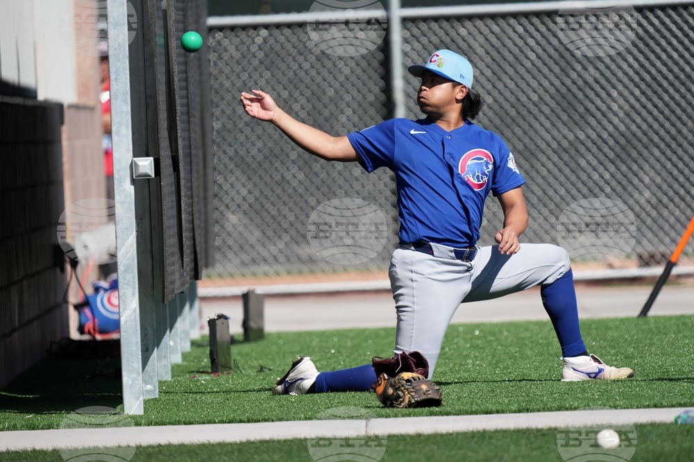 Cubs Spring Baseball