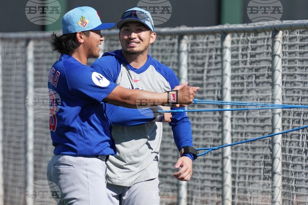 Cubs Spring Baseball
