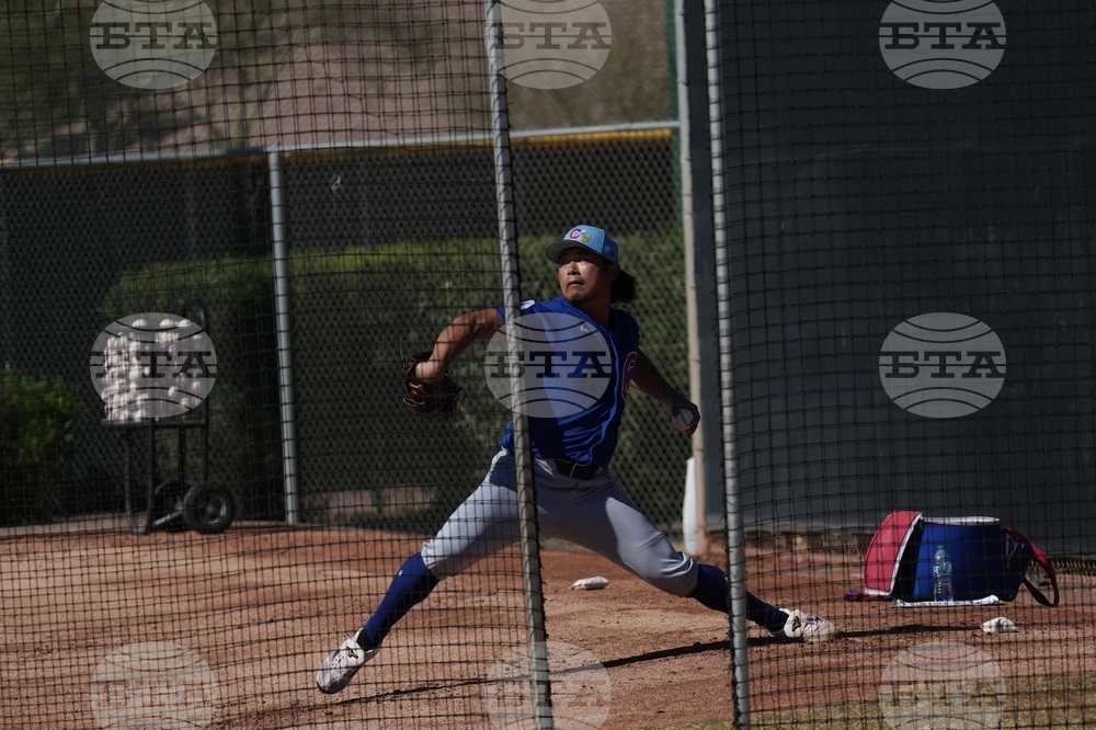 Cubs Spring Baseball